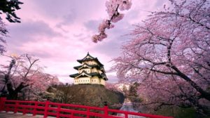 Traveling Ke Jepang? 3 Fakta Unik Berikut Wajib Anda Ketahui!!